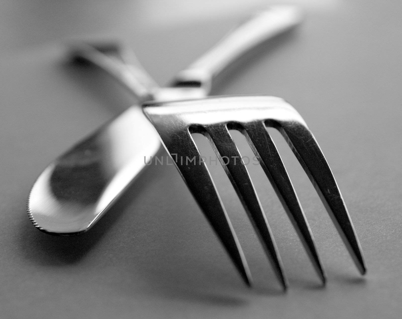 Artistic cutlery by leeser