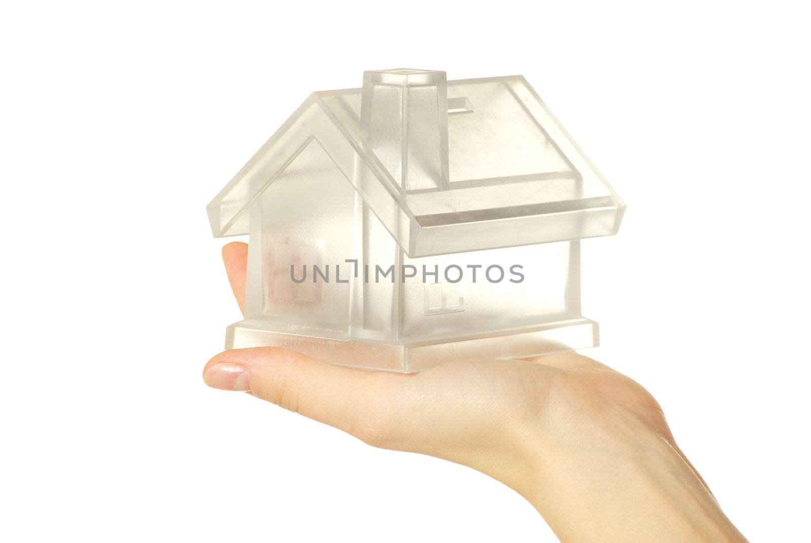 The house in human hand on white