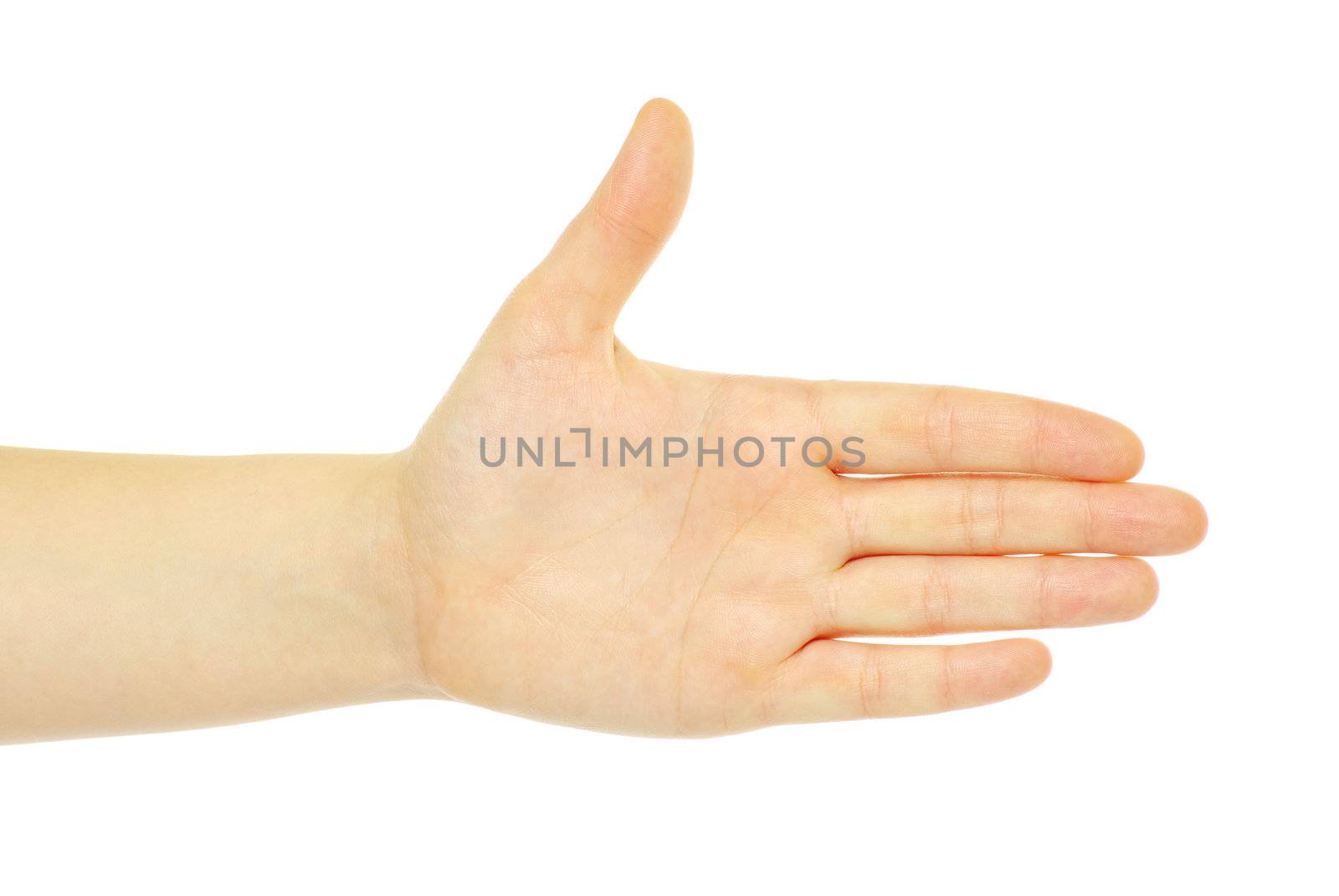  hand isolated on a white