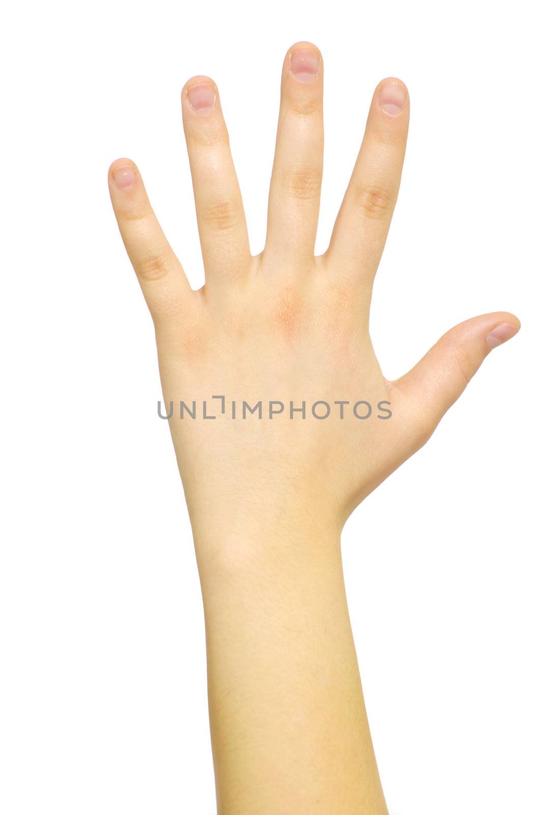  hand isolated on a white