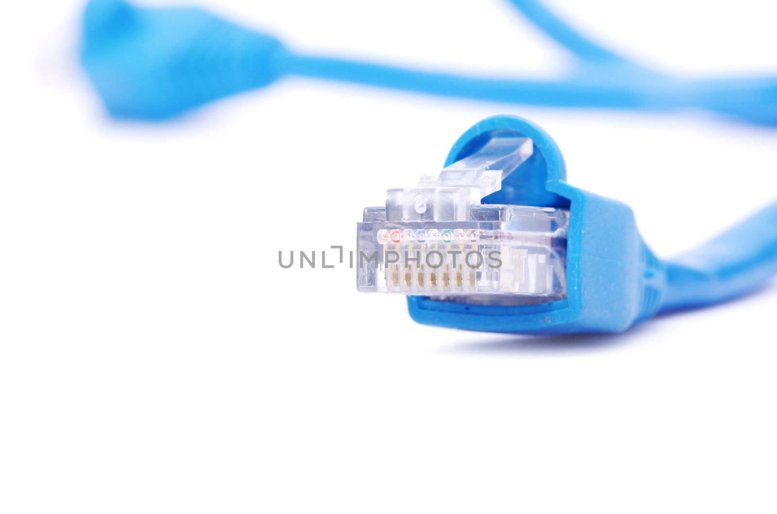  Macro shot of network connection plug