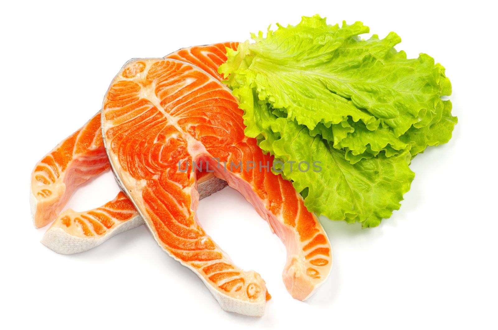 salmon and lettuce isolated on white background