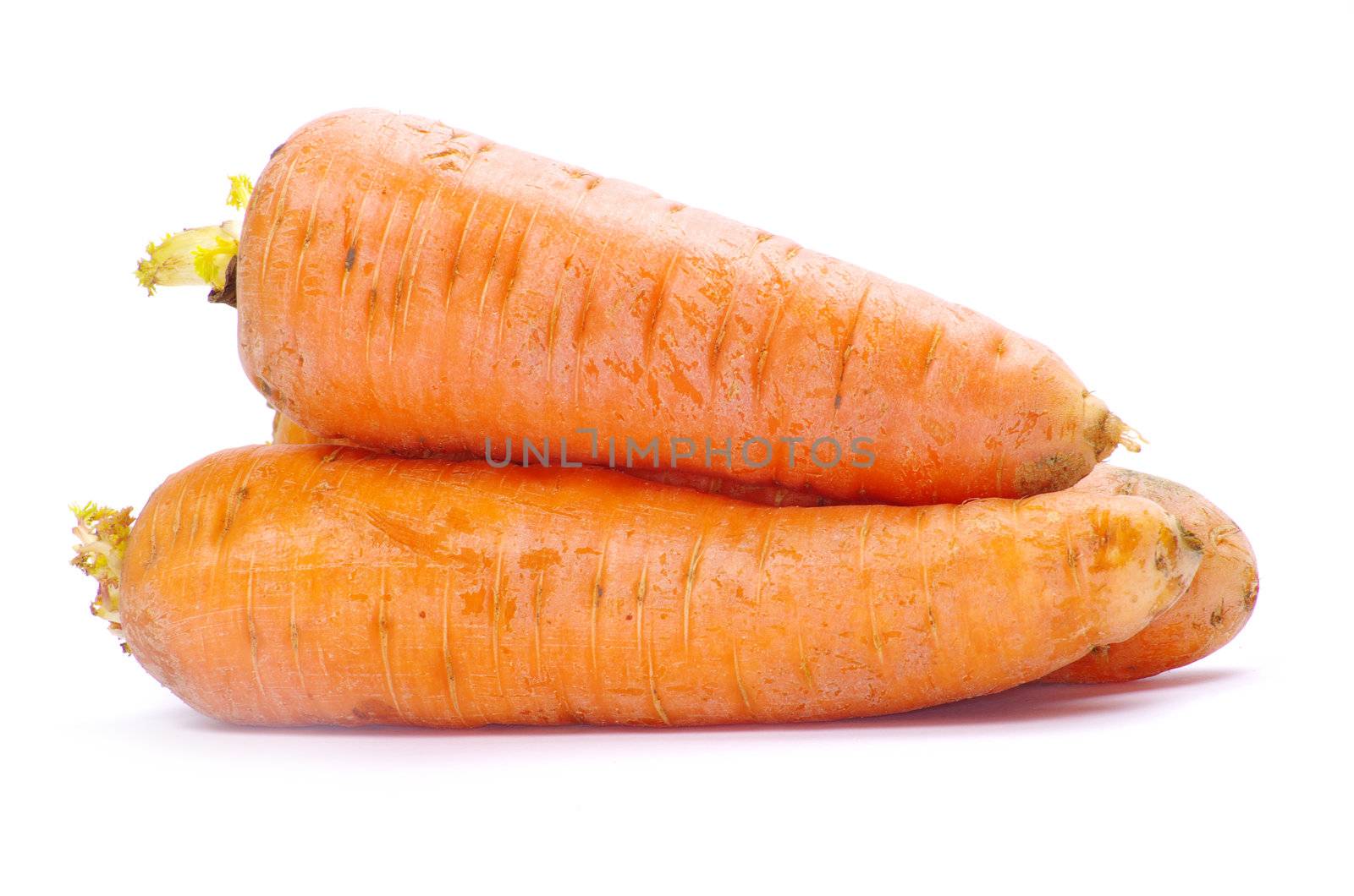 carrots isolated on a white