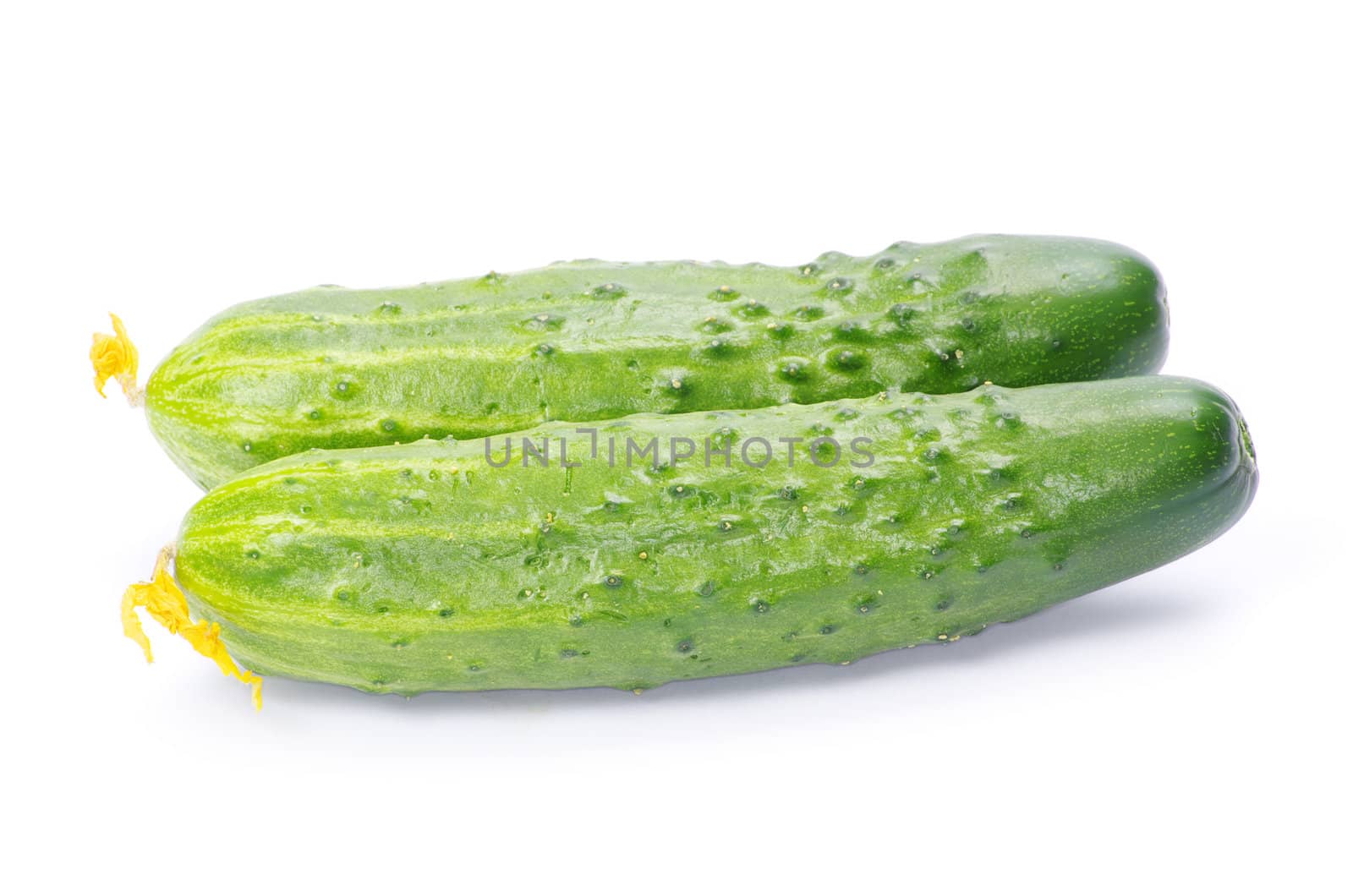 cucumbers on the white background