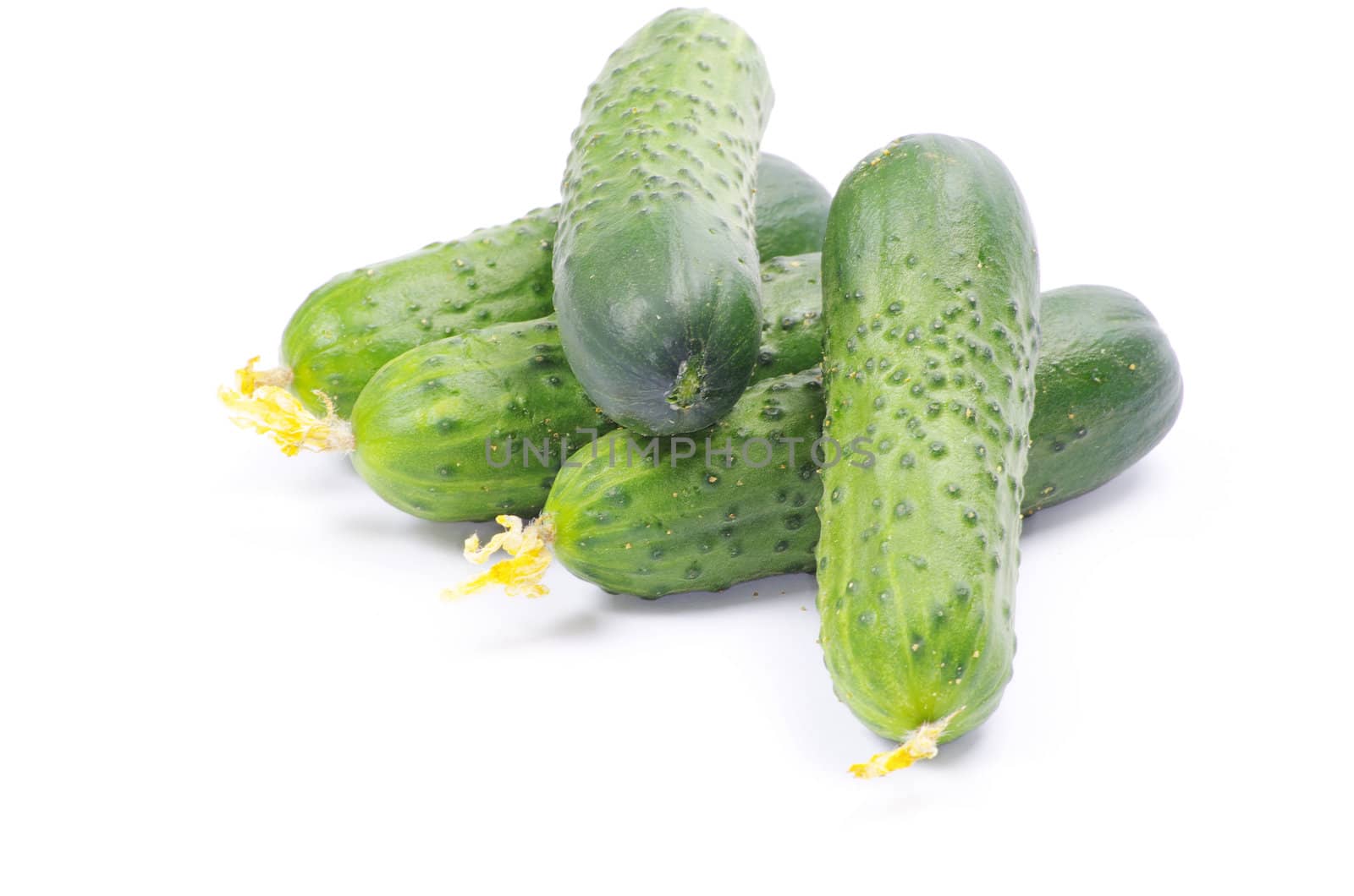 Cucumbers on the white background