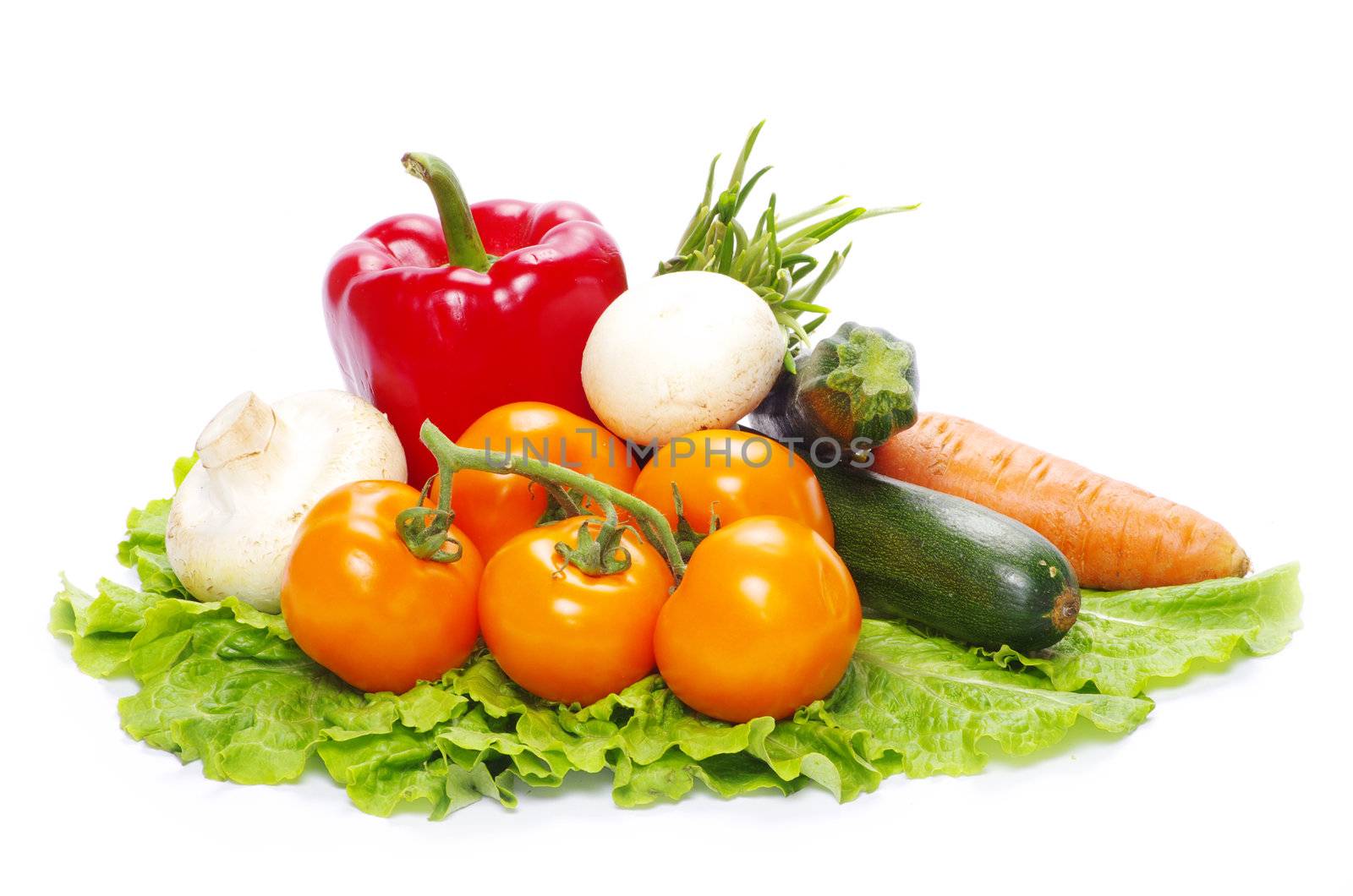 fresh vegetables on the white background