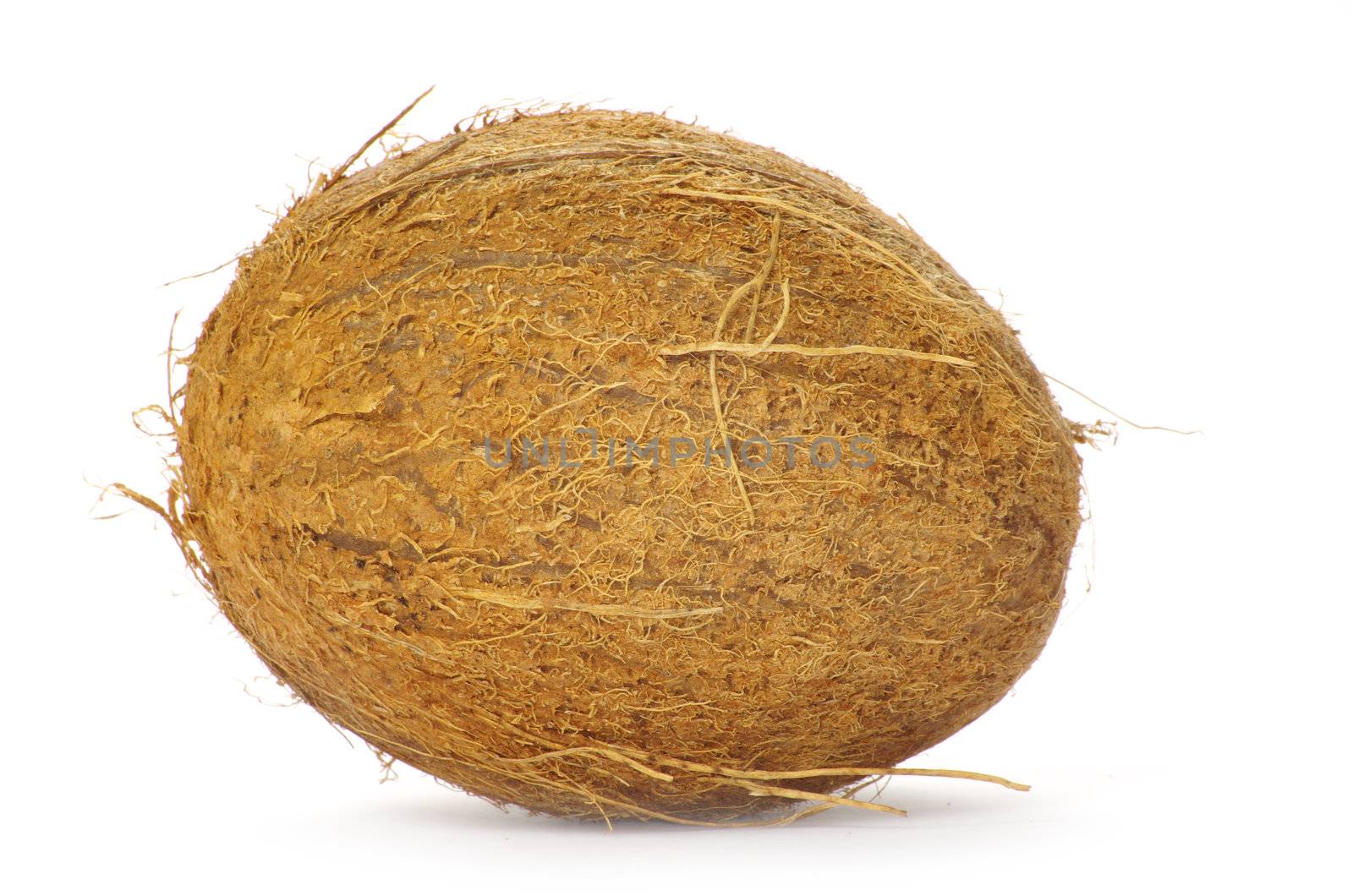 Whole coconut on white background