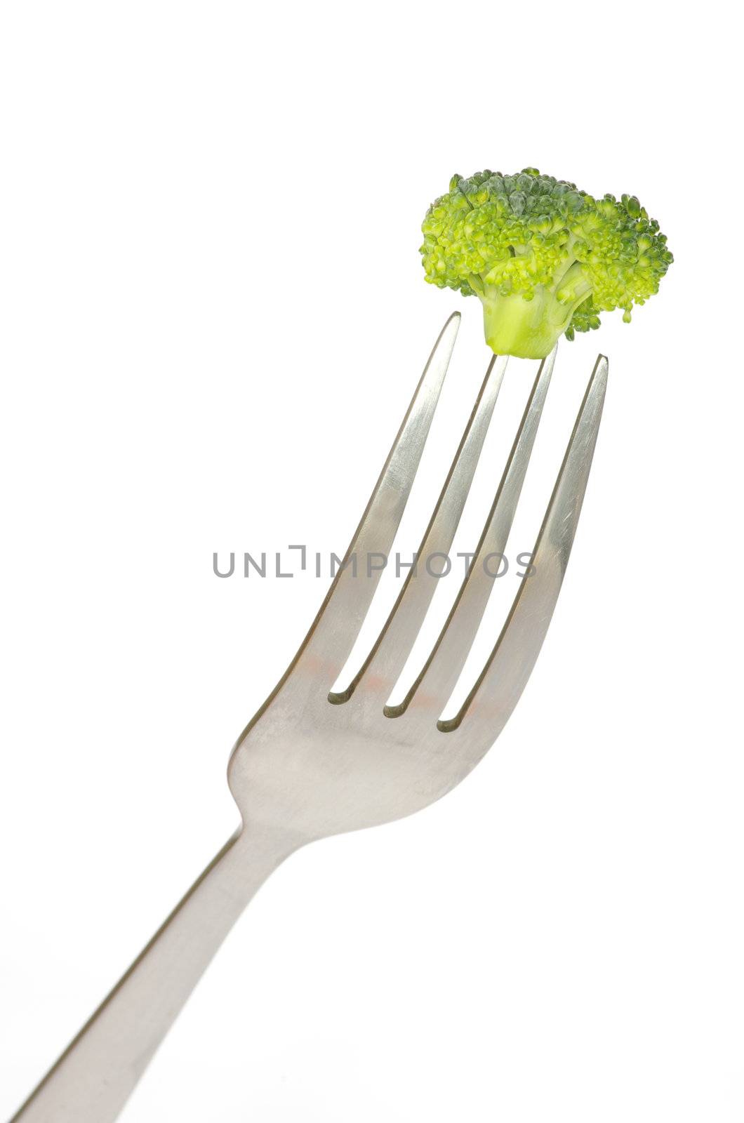 fork and broccoli on white