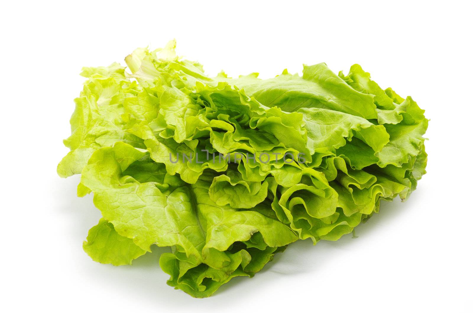 fresh green salad on white background