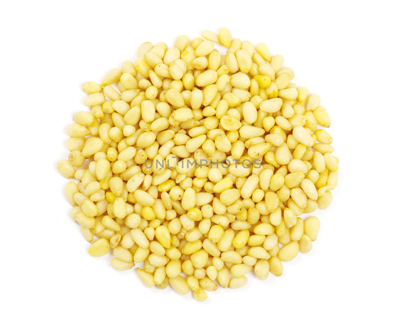 pine nuts isolated on a white background
