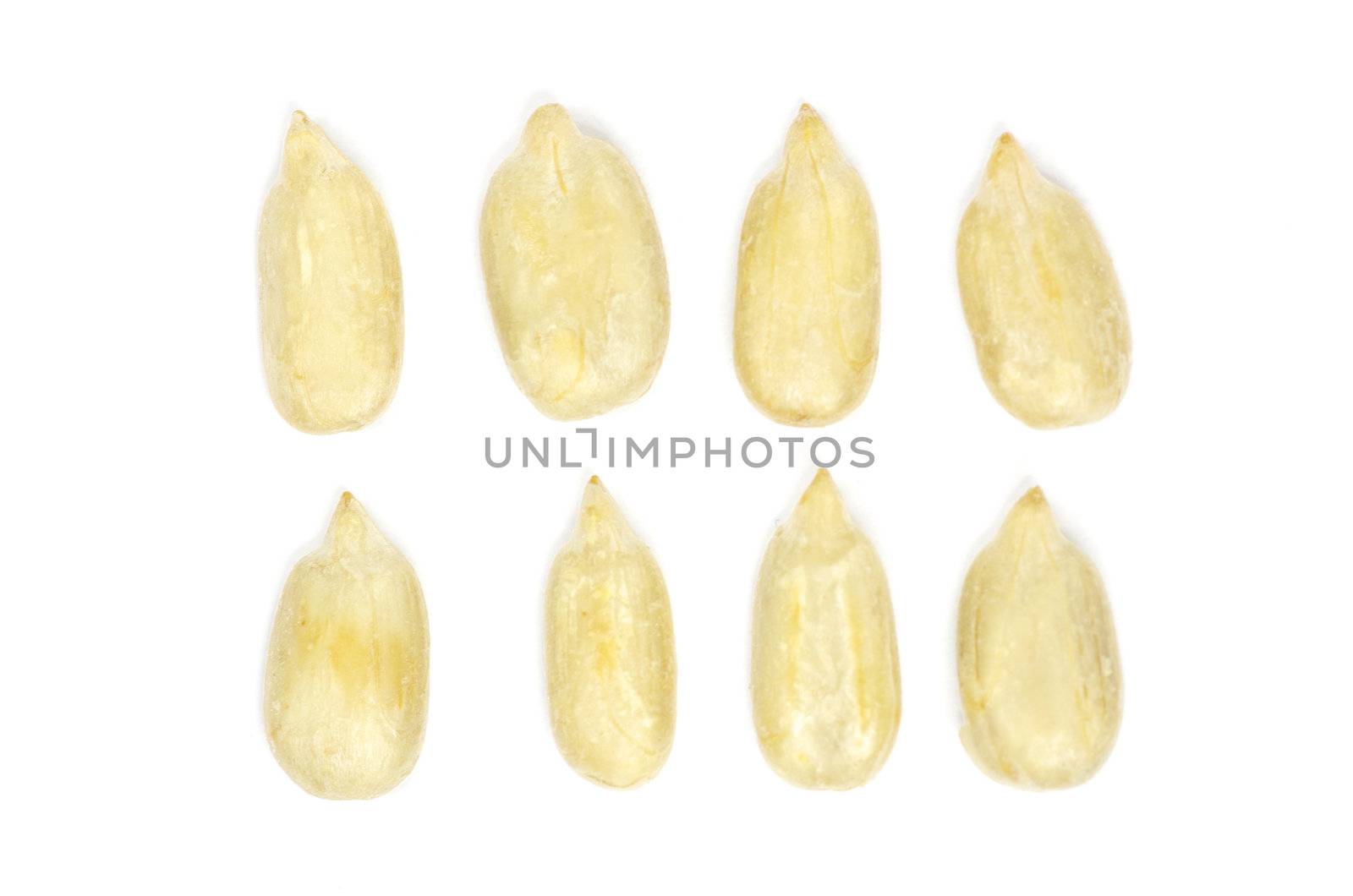sunflower seeds isolated on white