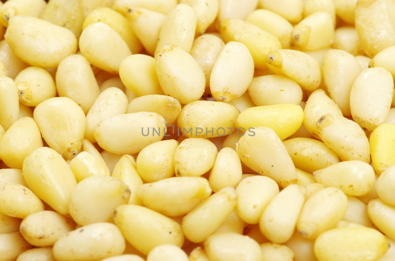 Close up of a background pine nuts