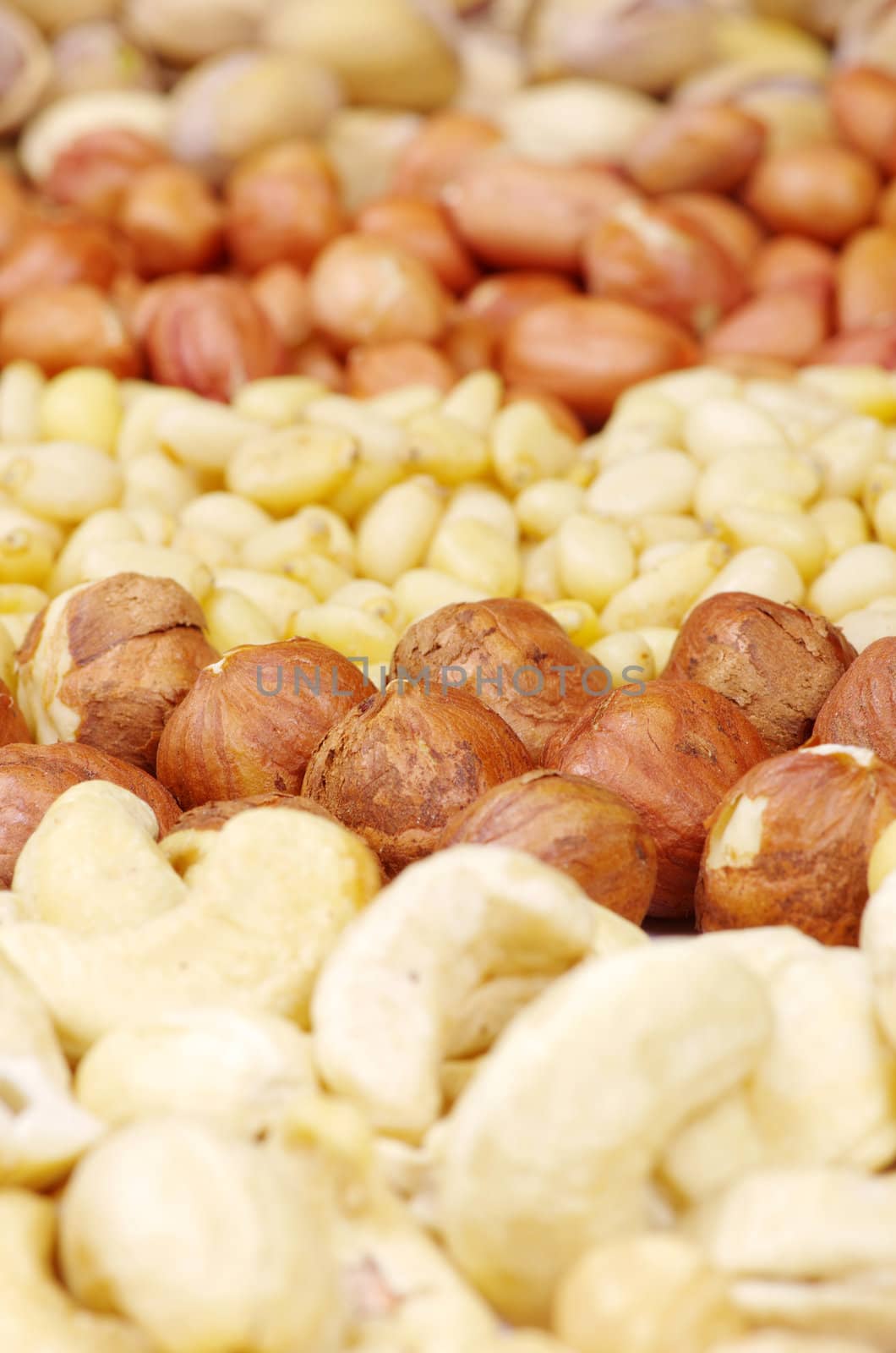 mixed nuts on a background