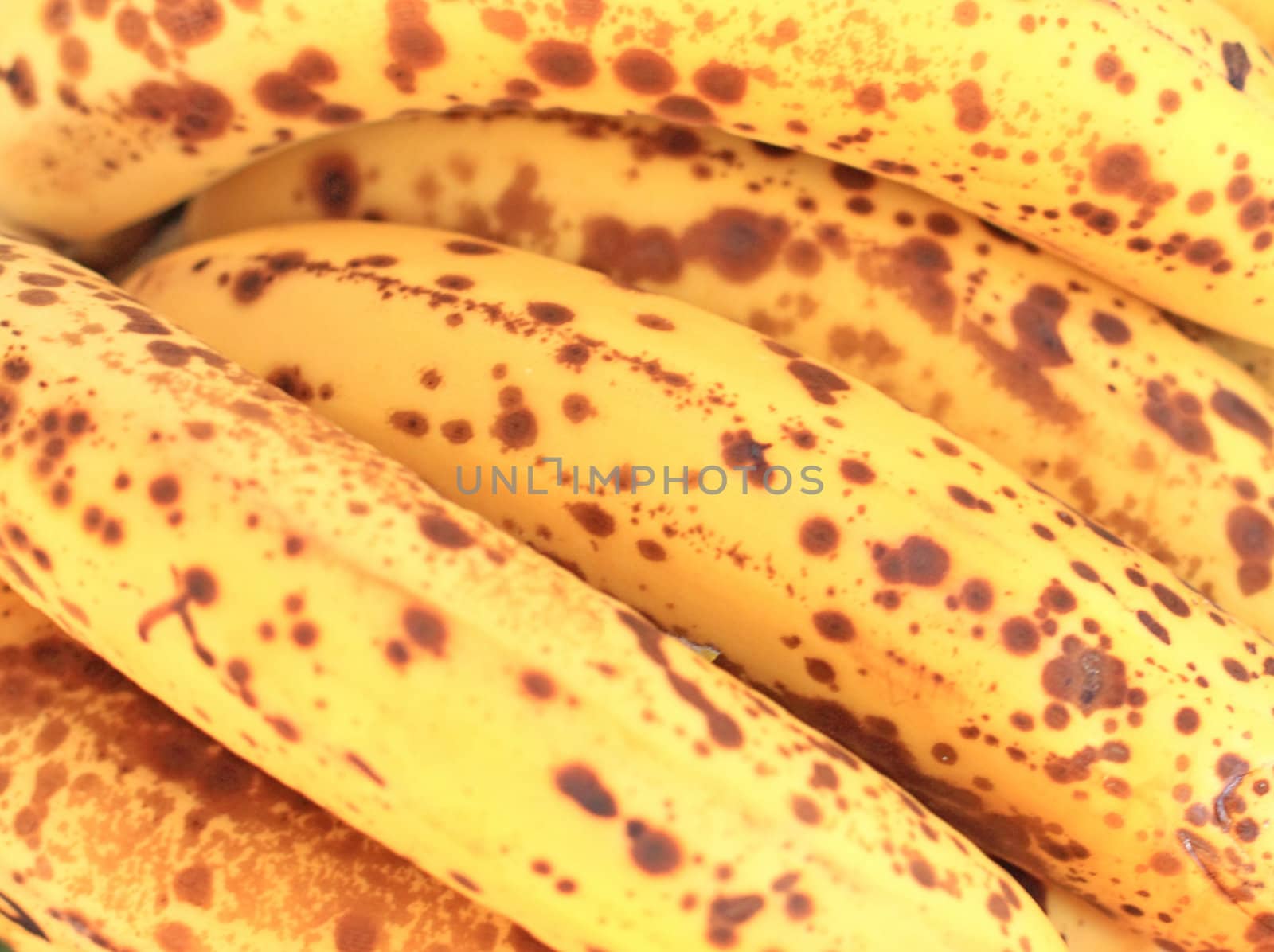 Bananas by Lessadar