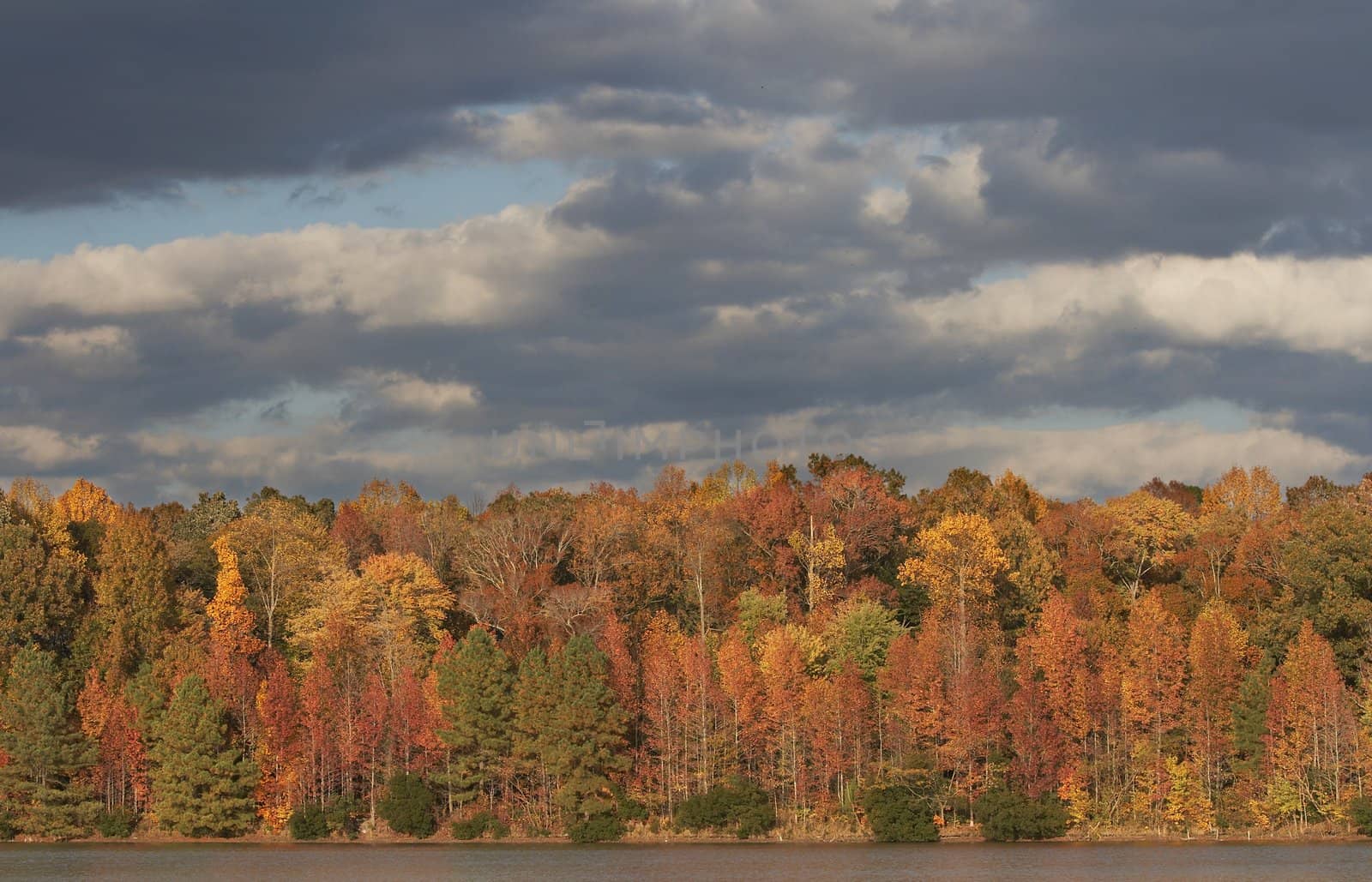 a picture of fall trees and water