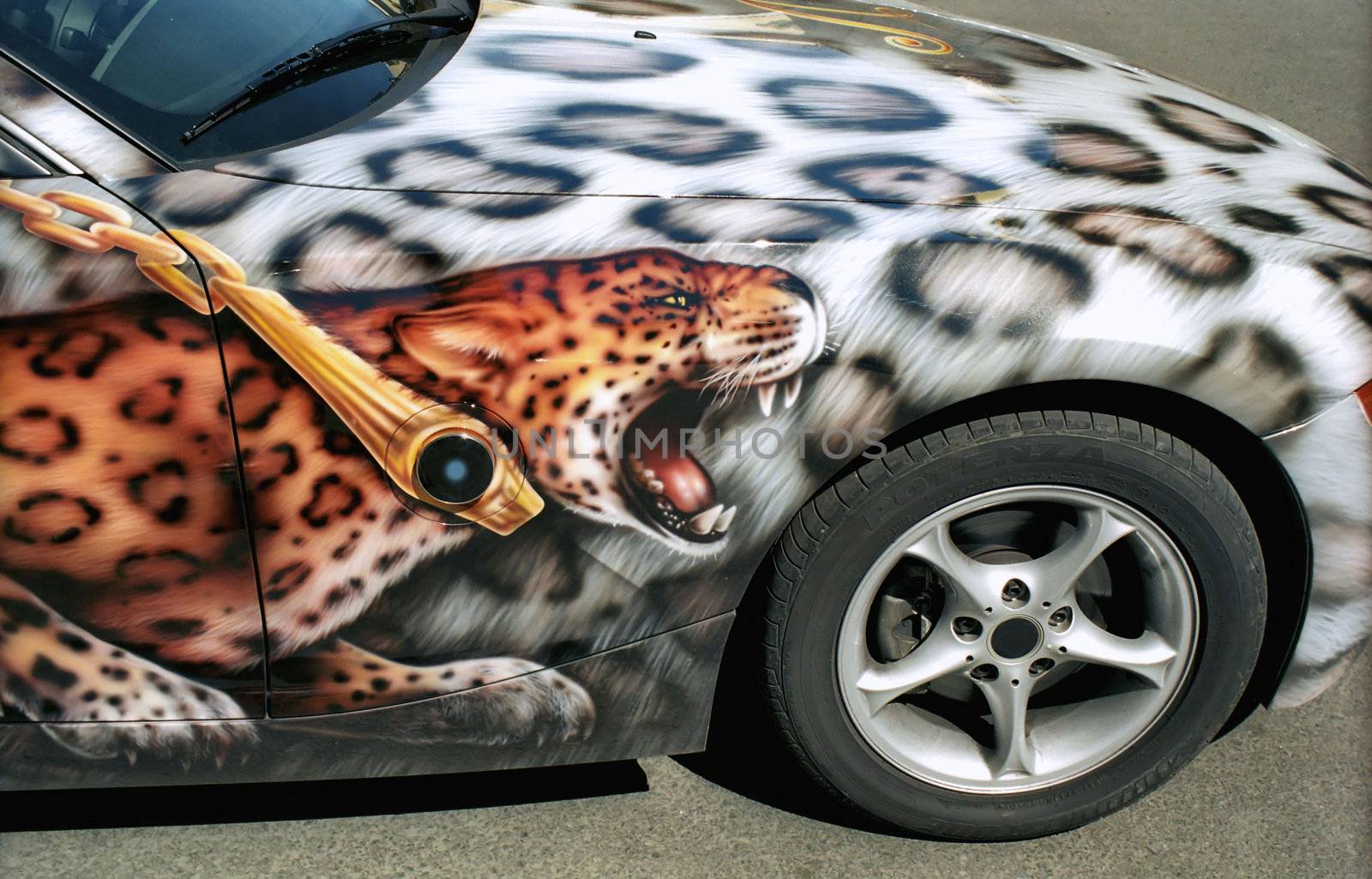 Leopard car aerography and pattern on the surface 