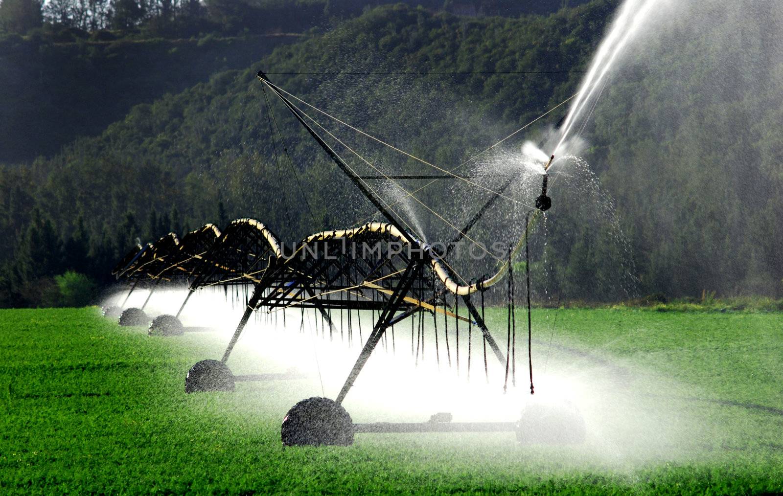 irrigation system watering a field on a farm