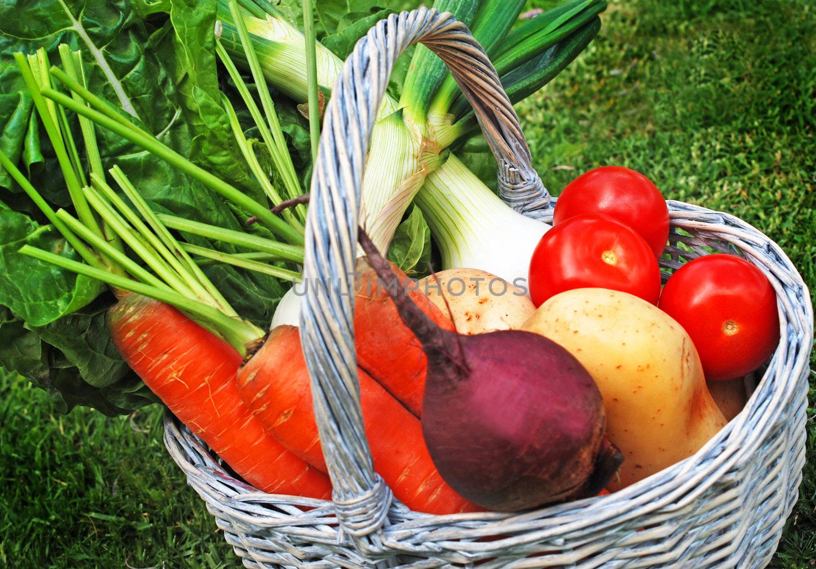 fresh farm vegetables in a basket