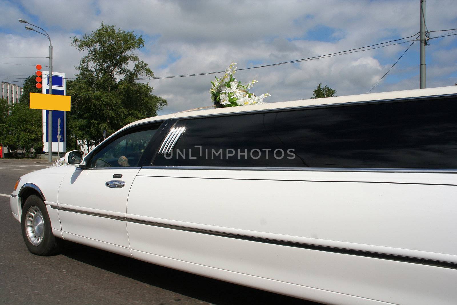 wedding limousine by Dancer01