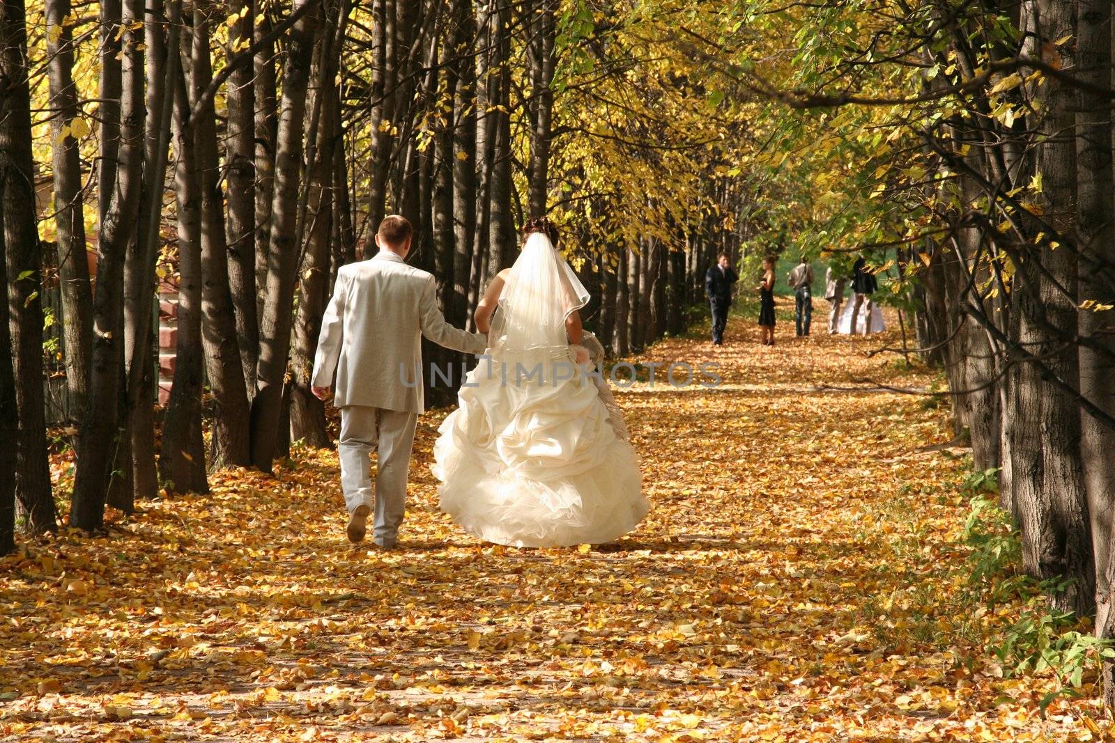 autumn wedding by Dancer01