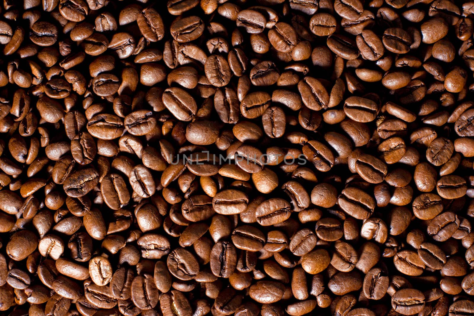 Coffe beans by Sergius