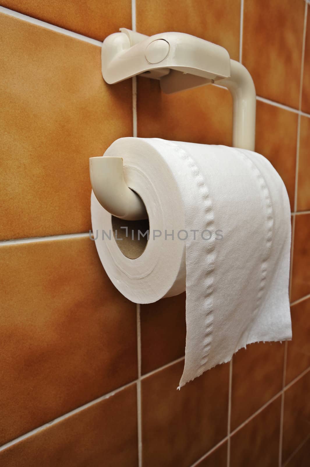 Toilet roll by Bateleur