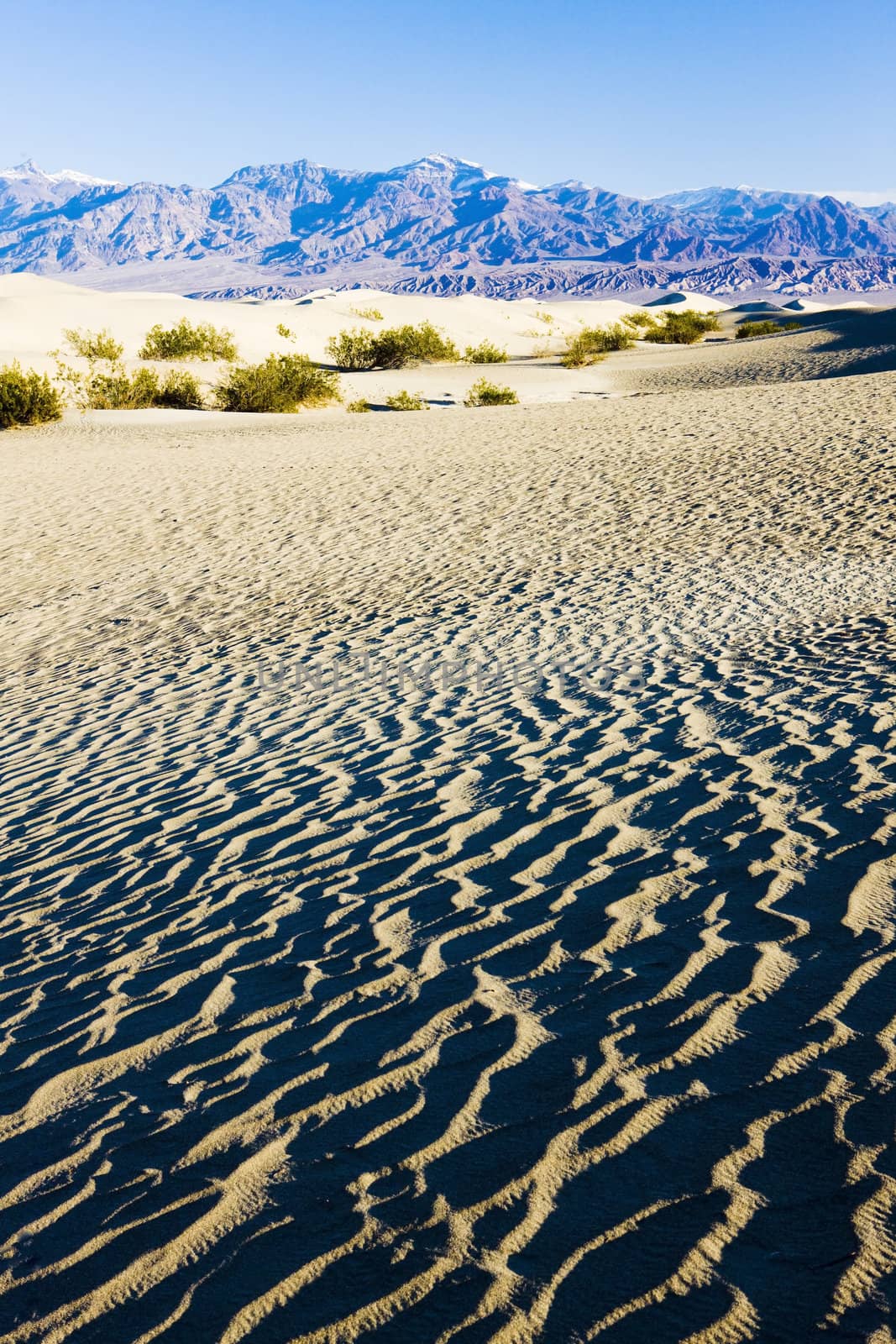 Stovepipe Wells sand dunes, Death Valley National Park, California, USA