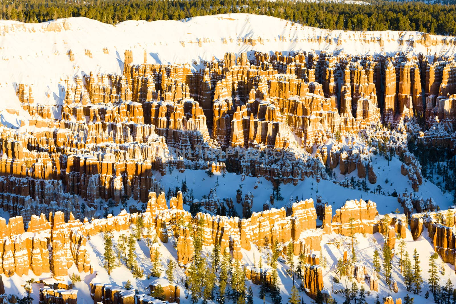 Bryce Canyon National Park in winter, Utah, USA