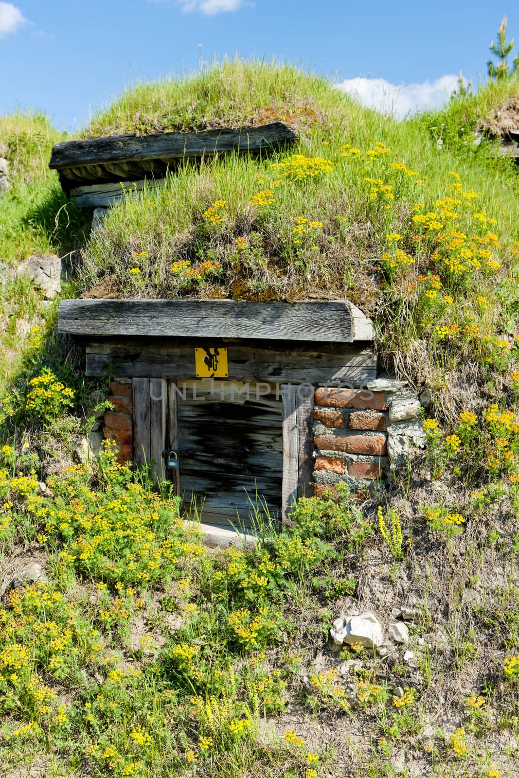 cellaars in Liptovska Teplicka, Slovakia