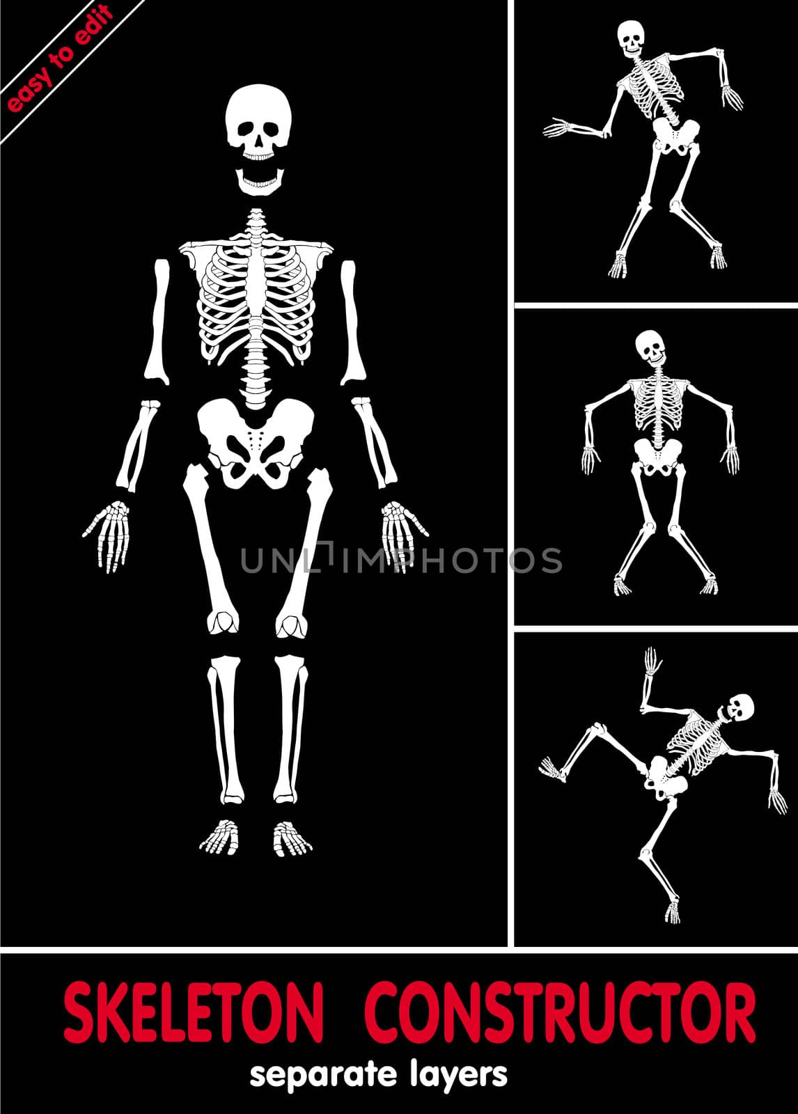 Skeleton constructor
 by vadimmmus