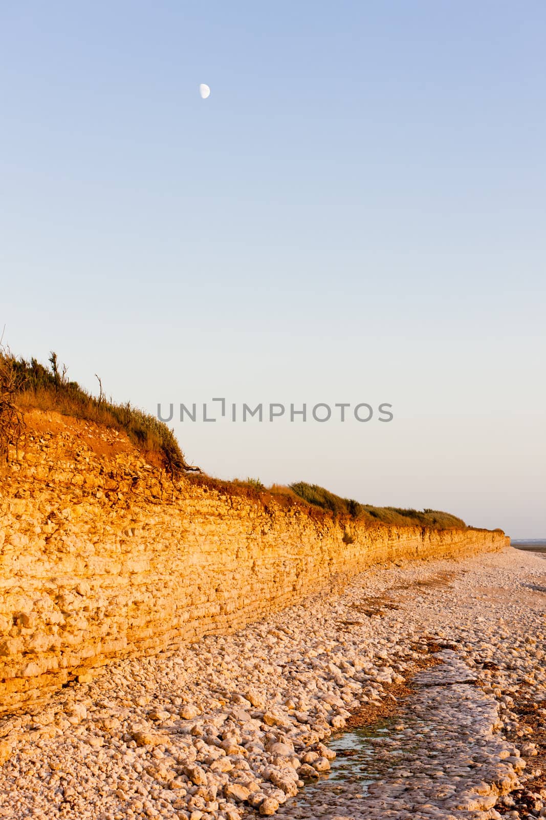 coast of Oleron Island, Poitou-Charentes, France