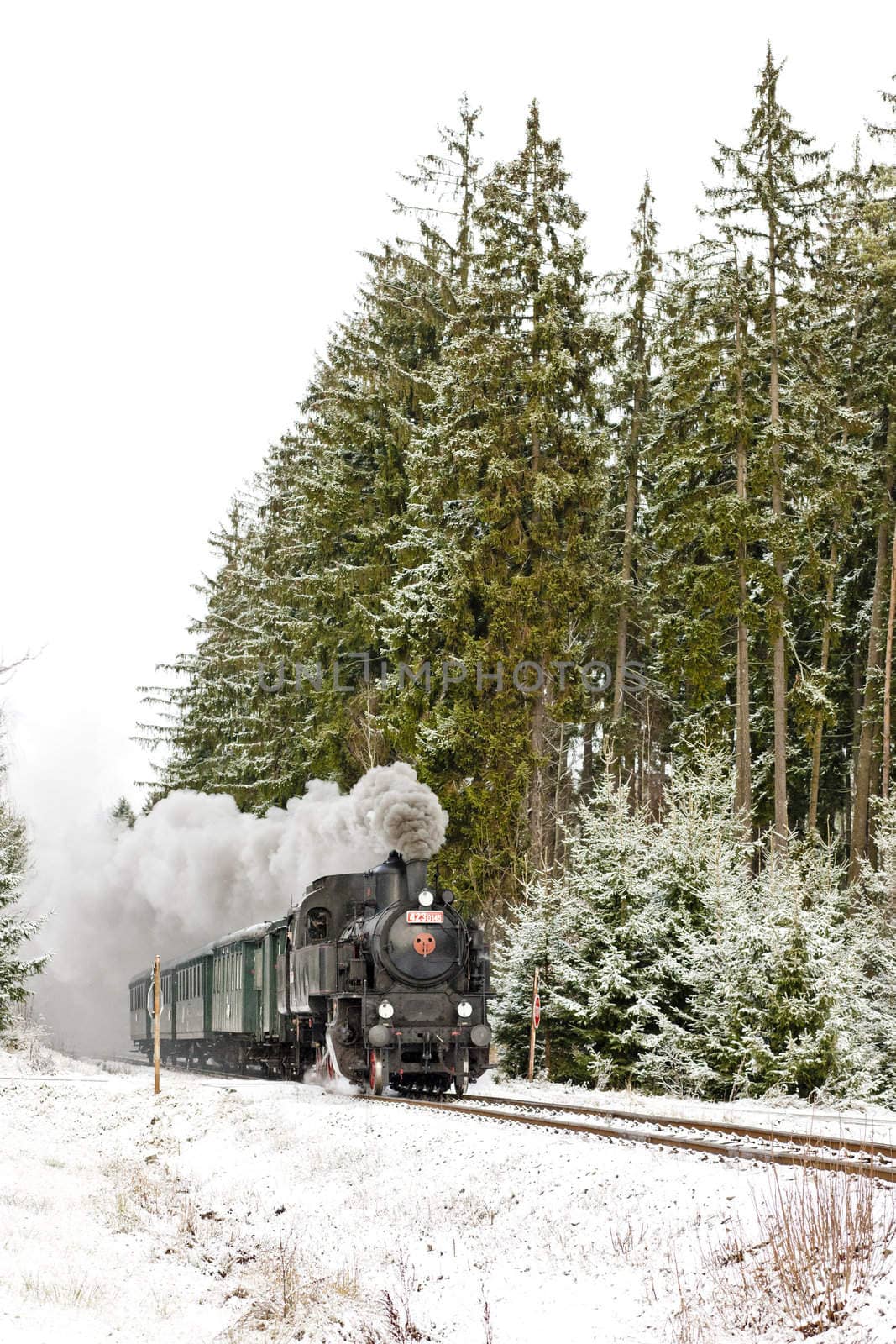 steam train near Hradsko, Czech Republic