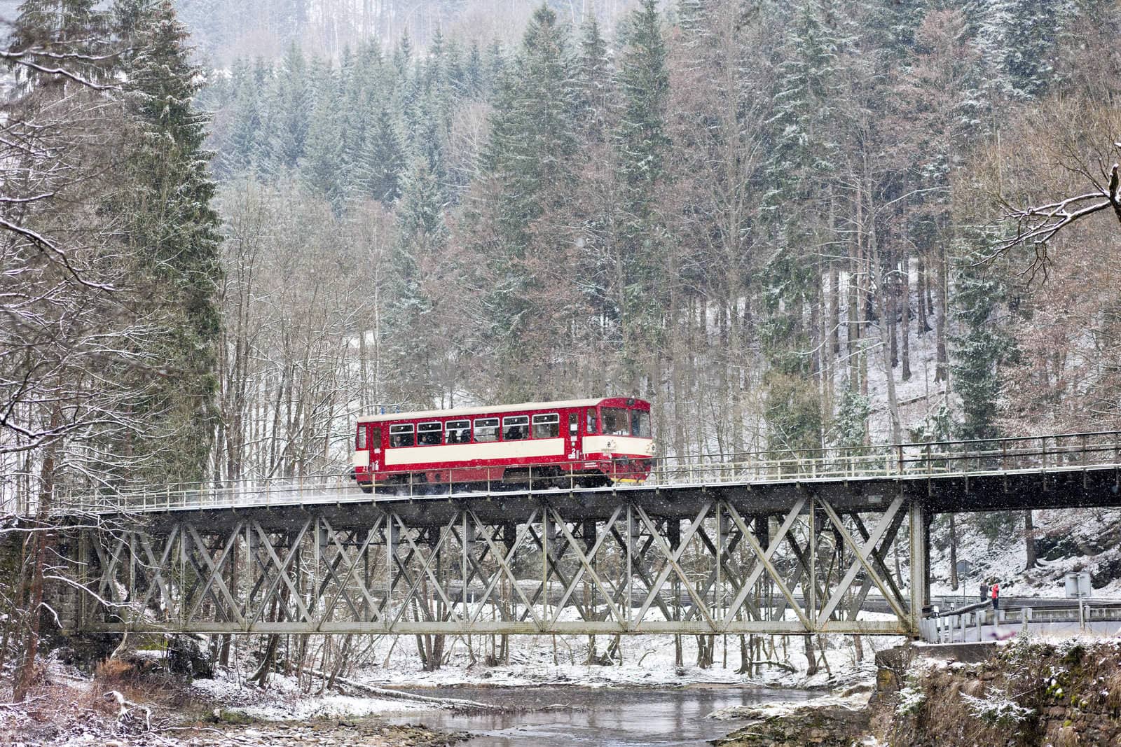engine carriage near Hradsko, Czech Republic