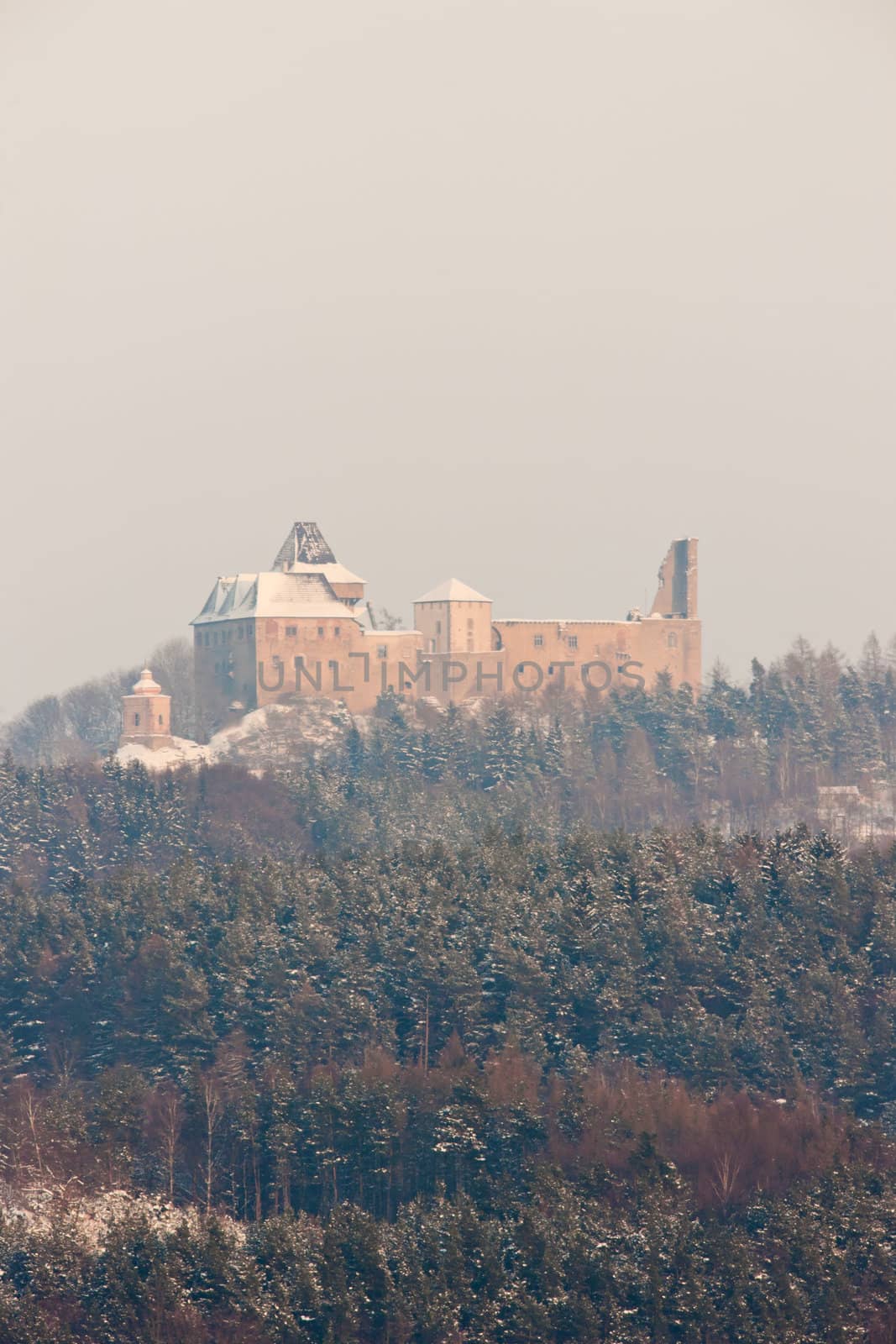 Lipnice nad Sazavou Castle in winter, Czech Republic