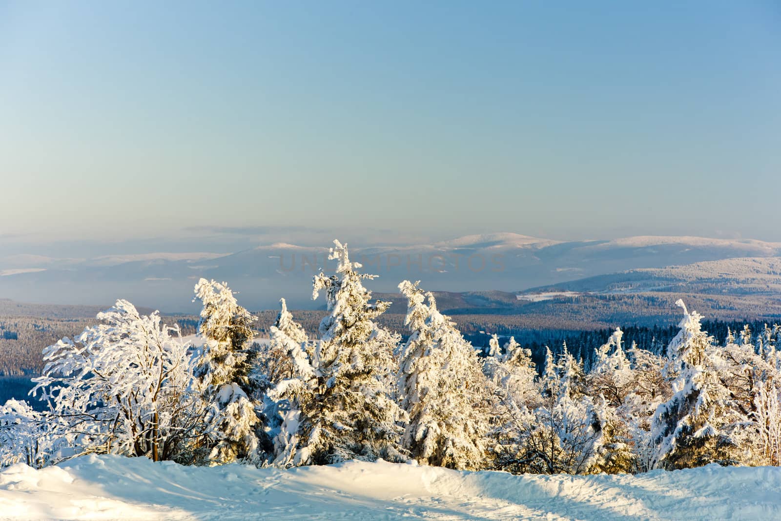 Orlicke Mountains in winter, Czech Republic