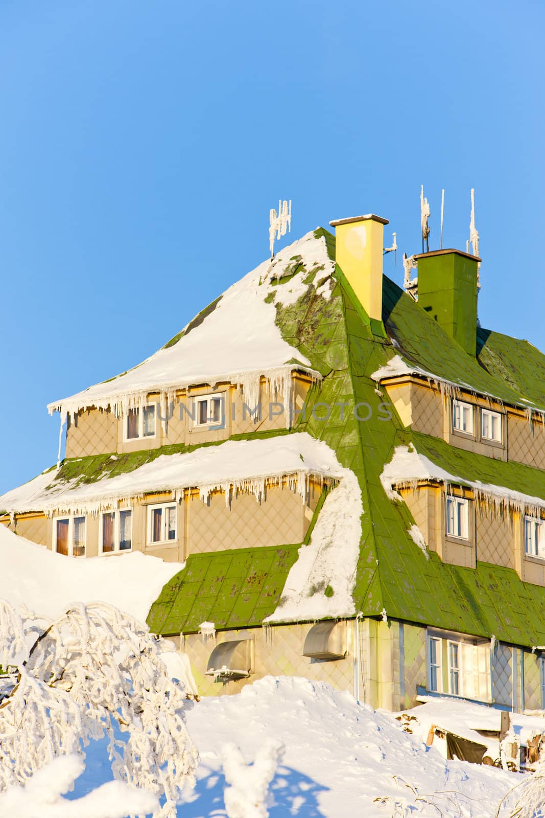 Masarykova Cottage, Orlicke Mountains in winter, Czech Republic