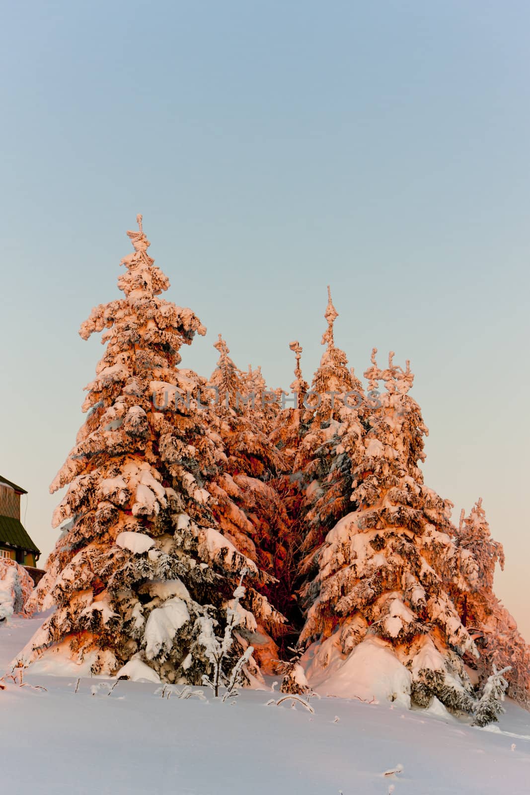 Orlicke Mountains in winter, Czech Republic