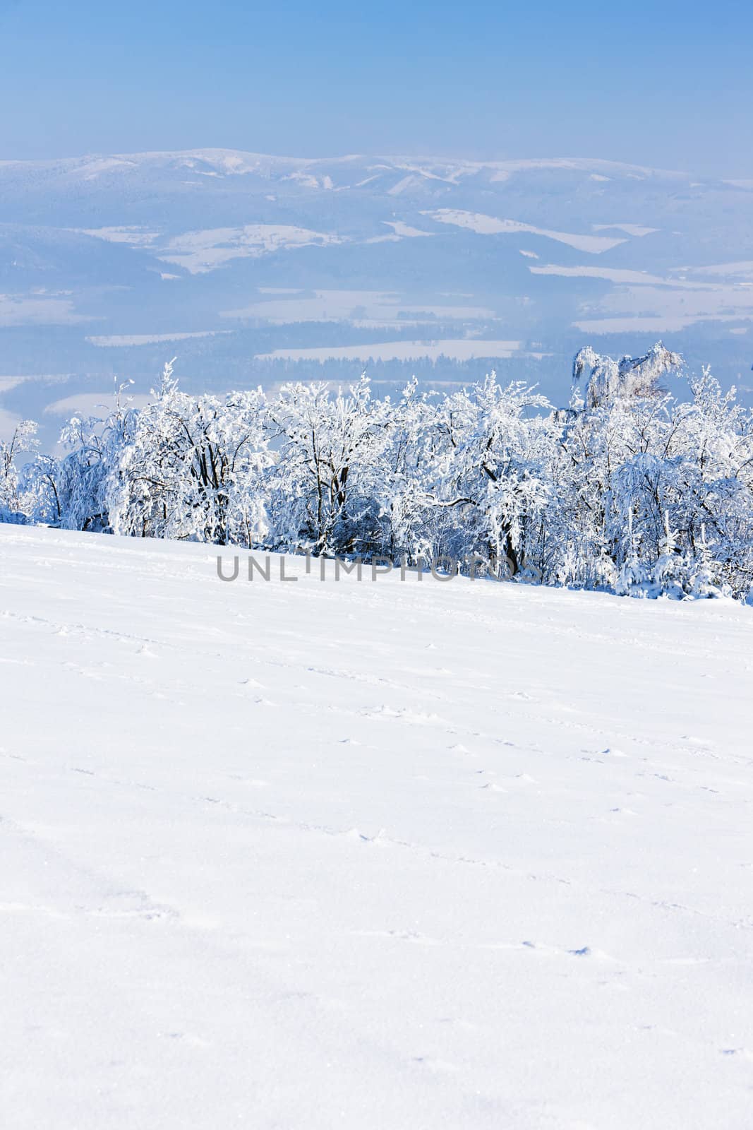 Jeseniky Mountains in winter, Czech Republic