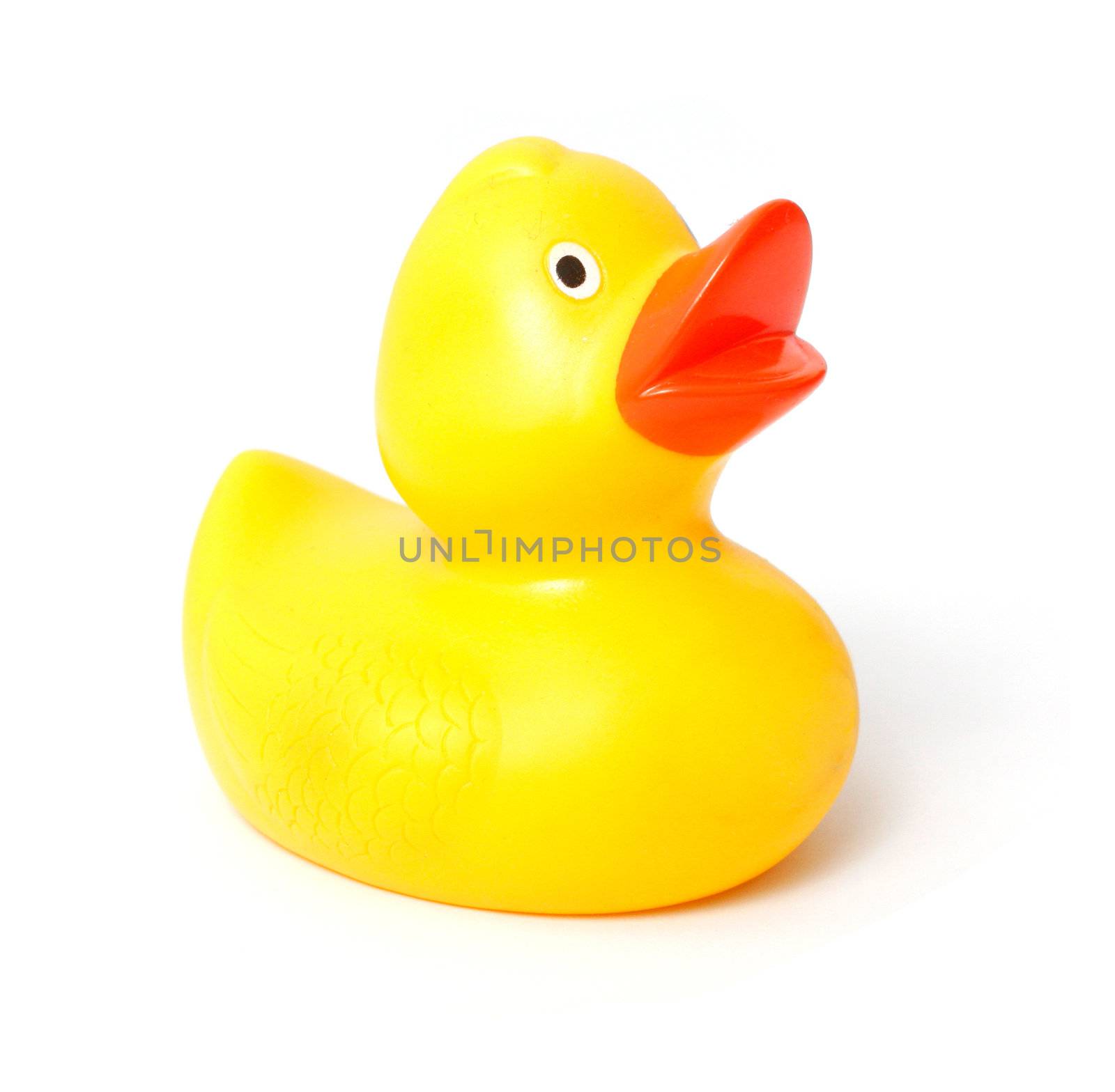 Rubber duck by leeser