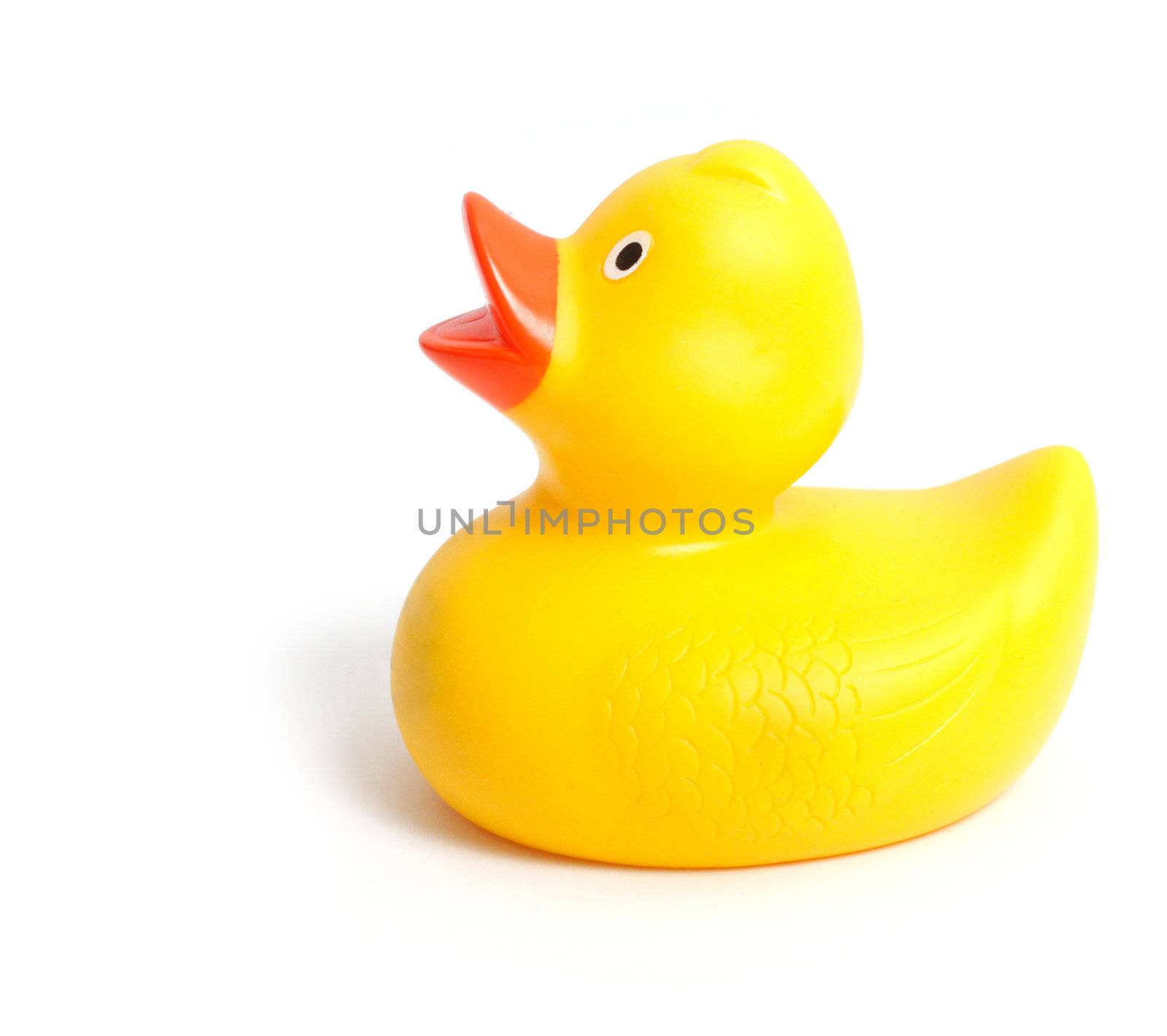 Rubber duck by leeser