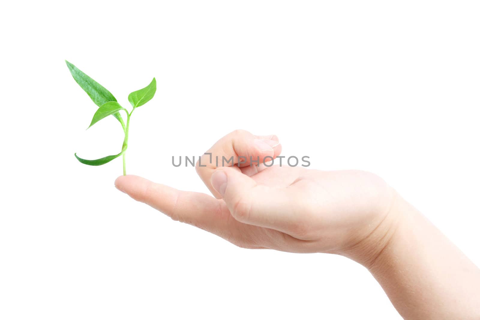 Finger supporting a new plant by leeser