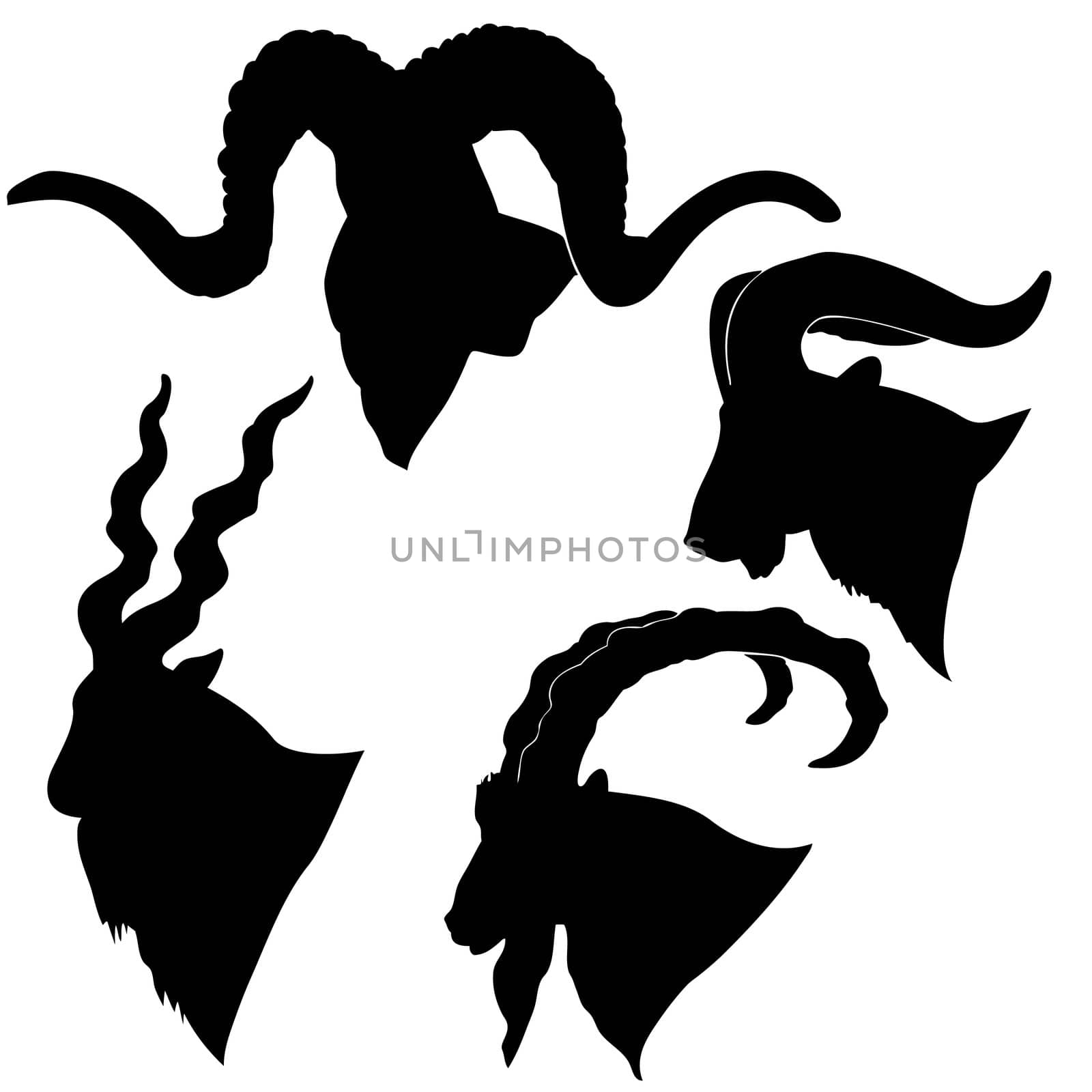 vector silhouette of the mountain ram on white background by basel101658
