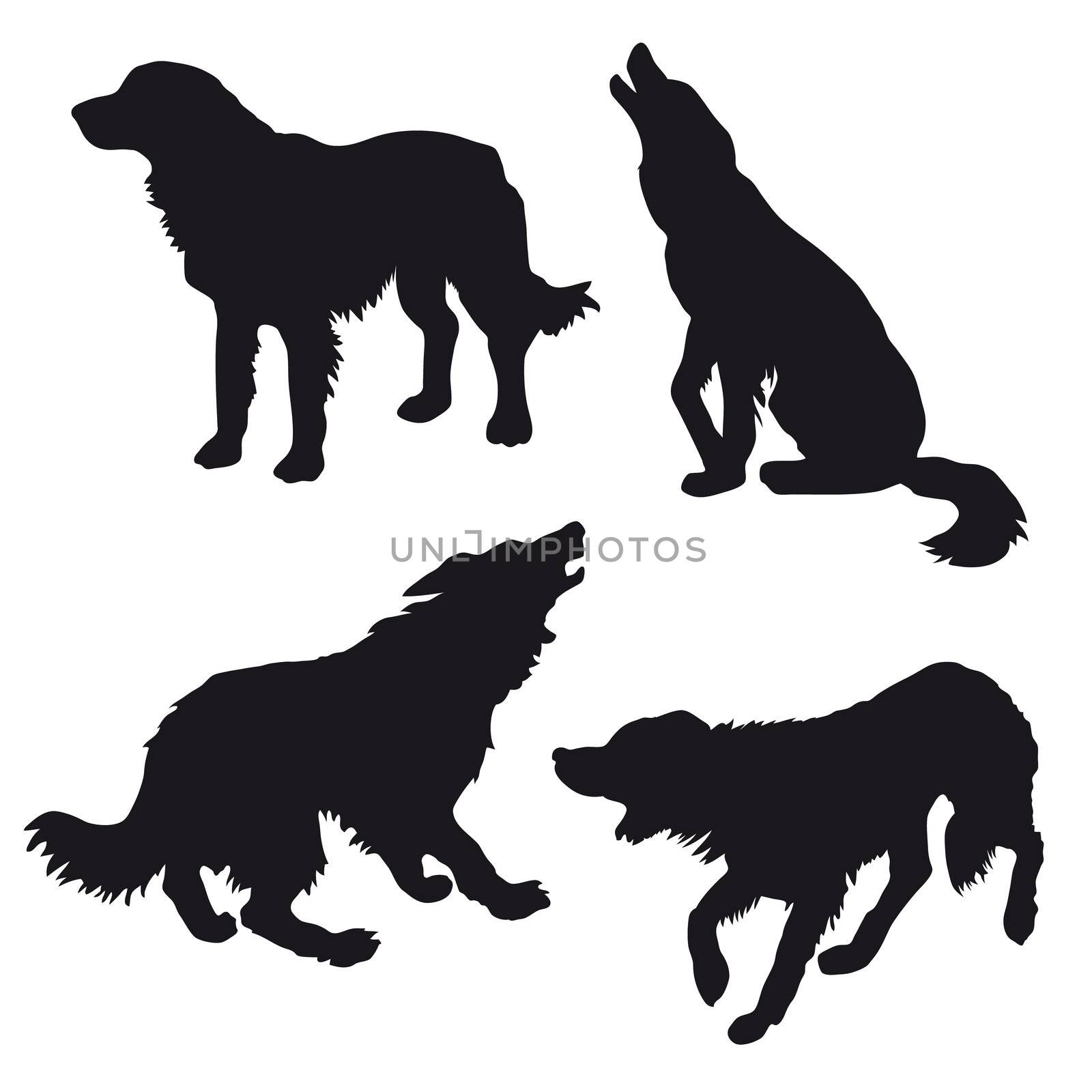 vector silhouette of the dog on white background by basel101658