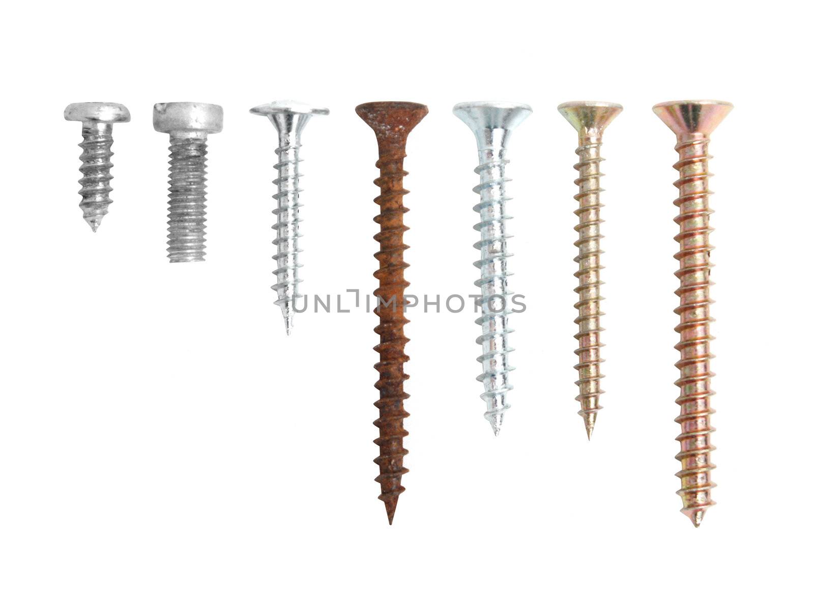 Screws isolated on white by leeser