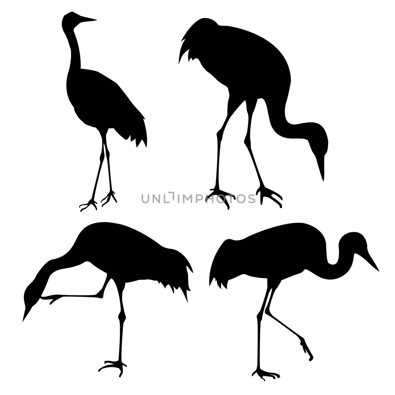 vector silhouette of the cranes on white background by basel101658