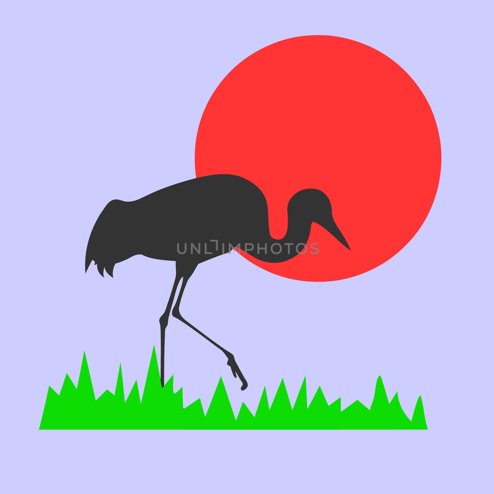 vector silhouette of the crane on background red sun
