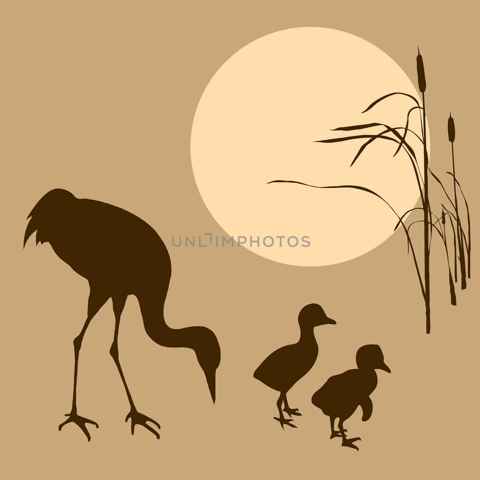 vector illustration of the crane with nestling on background su by basel101658