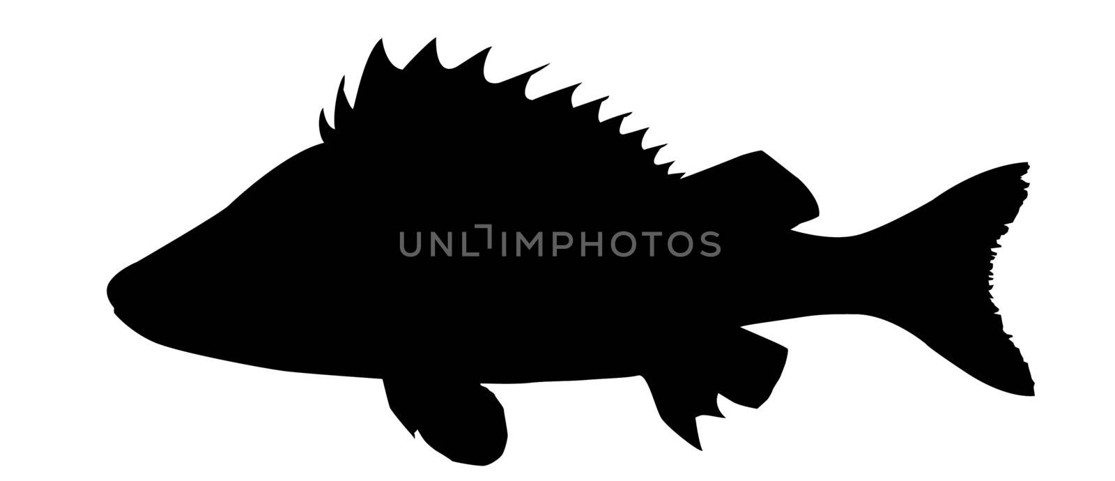 vector silhouette of fish on white background by basel101658