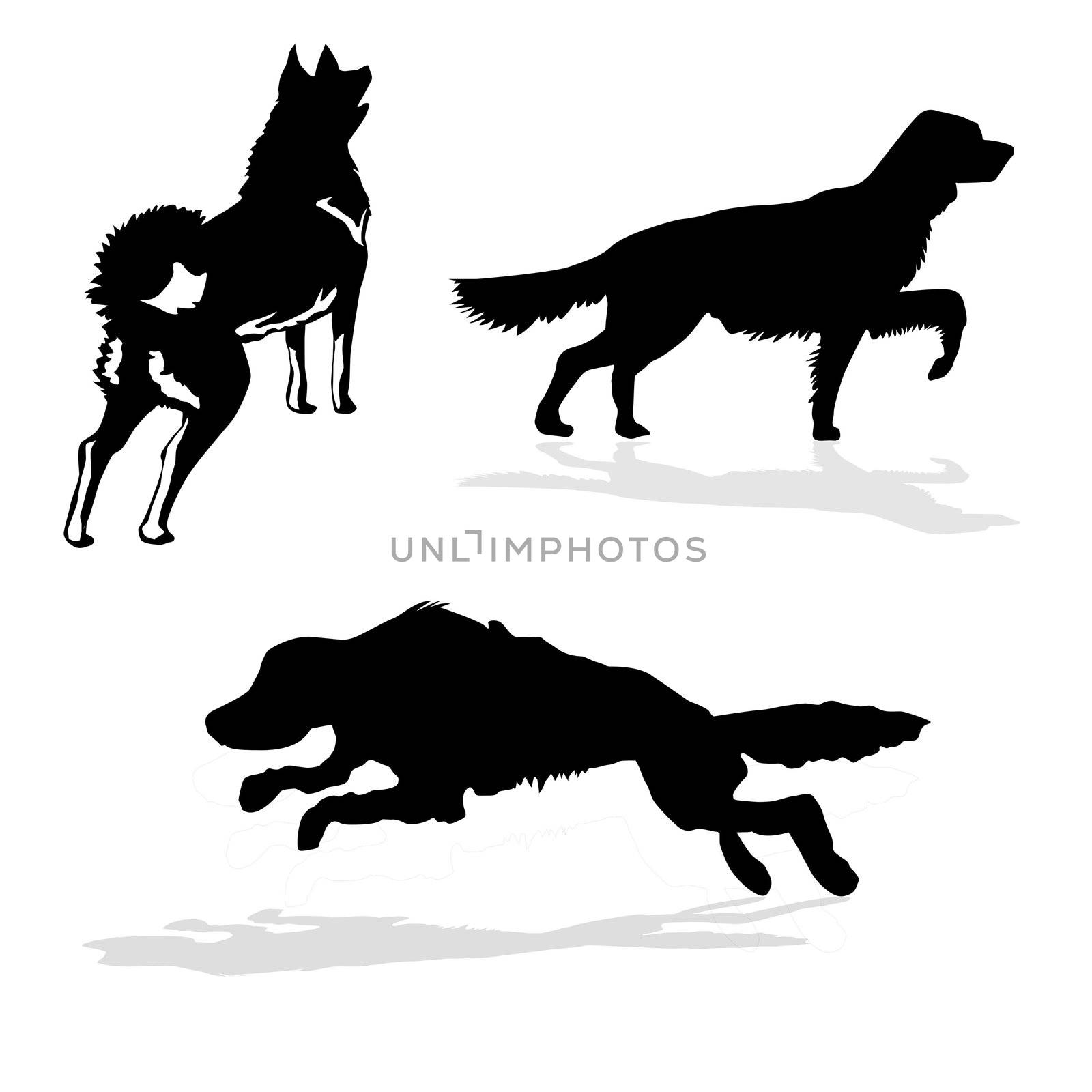 vector silhouette hunt dogs on white background by basel101658