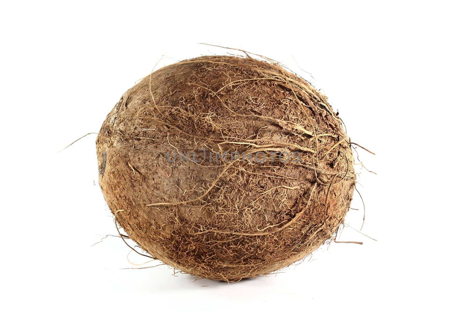 a fresh coconut in front of white background